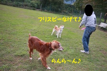 フリスビー