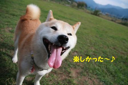 楽しかった