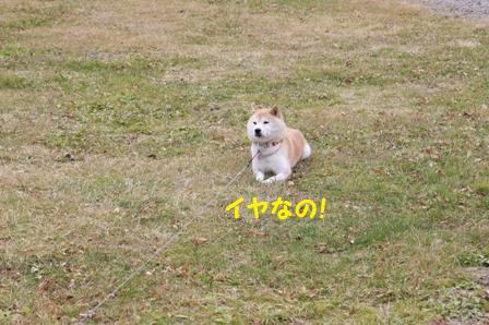 イヤなの