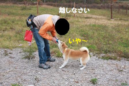 フリスビー