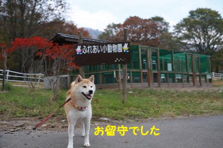 留守