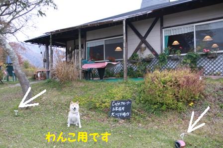犬つなぎ