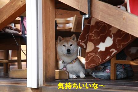 そば