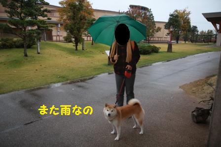 雨降り