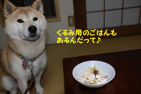 わんこごはん