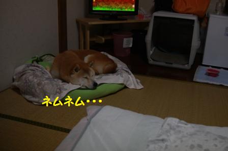 ネムネム