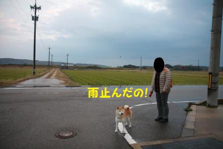 止んだ