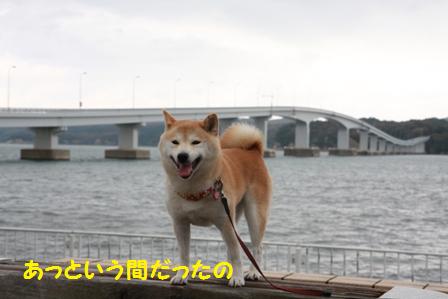能登島大橋