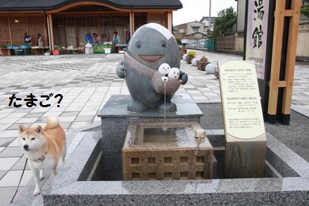 たまご