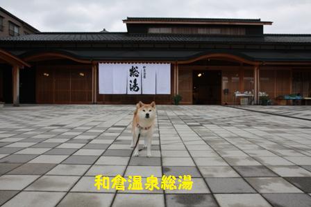 総湯