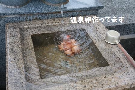 温泉卵