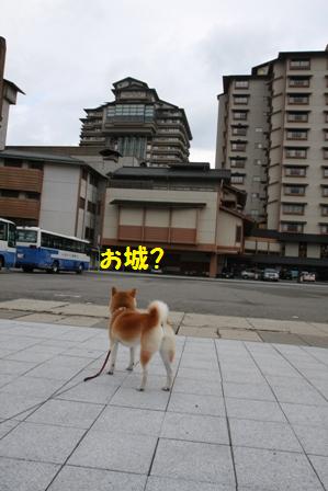 加賀屋