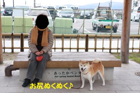 ベンチ