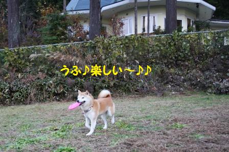 楽しい
