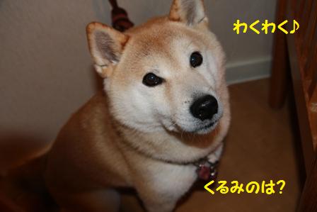 わくわく