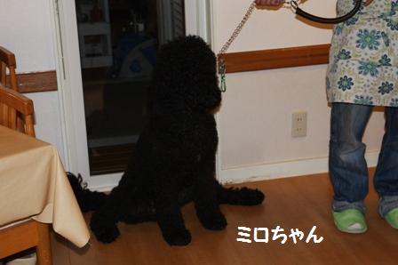 ミロ