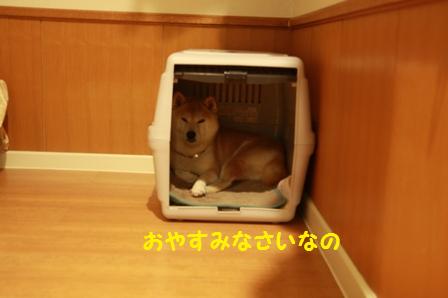 おやすみなさい