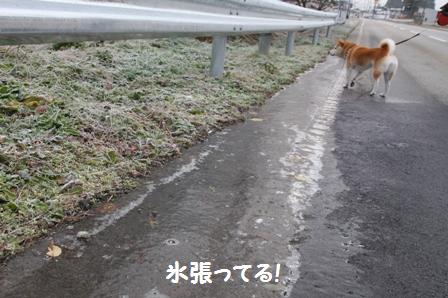 氷