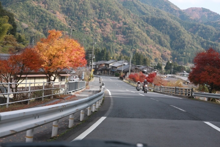 紅葉