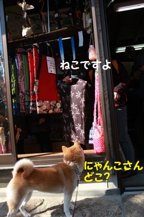 ねこ