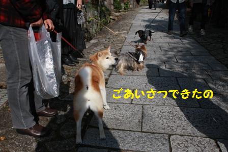 ごあいさつ