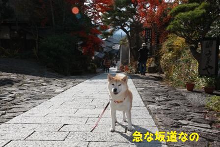 坂道