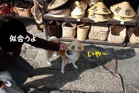 カサ