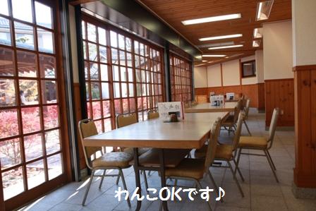わんこOK
