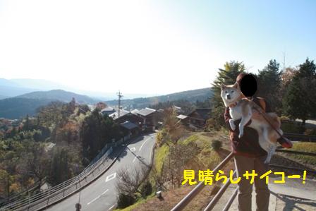 見晴らし