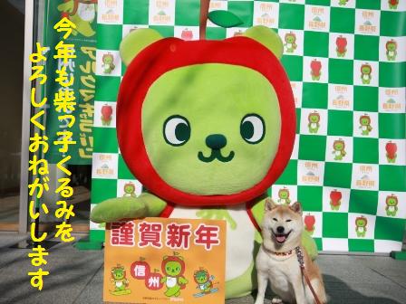 謹賀新年2013