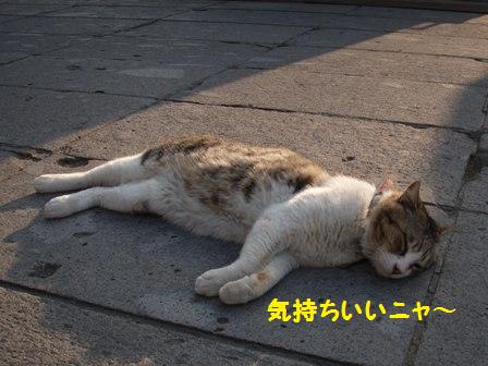 気持ちいいニャ