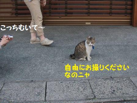 ご自由に