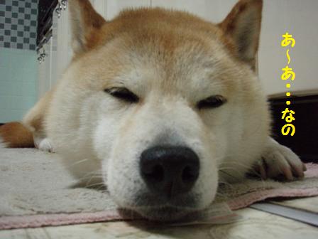 あ~あ