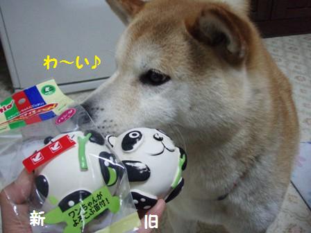 わ~い