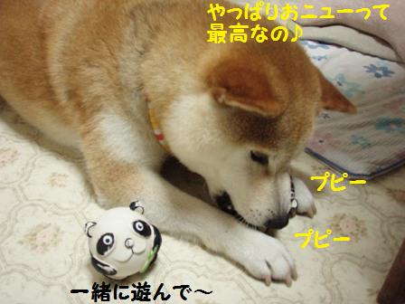 おニュー