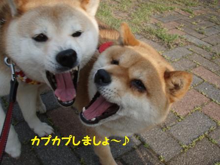 カプカプ