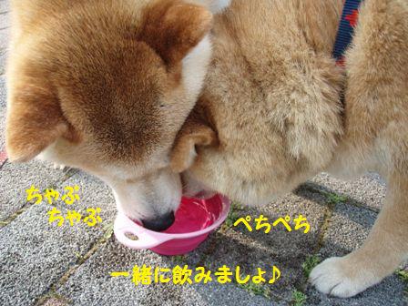 お水