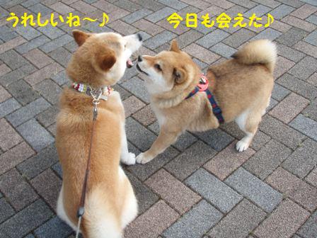 会えてうれしい