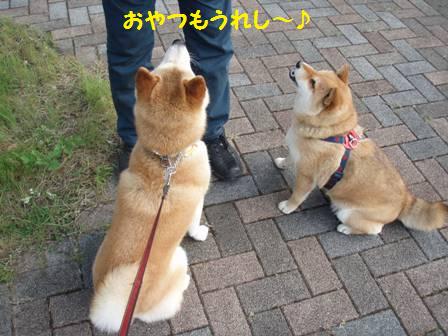 おやつがうれしい