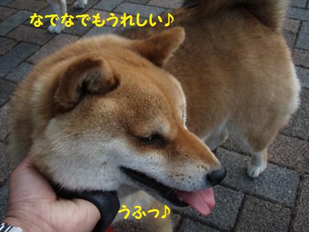 なでなでうれしい