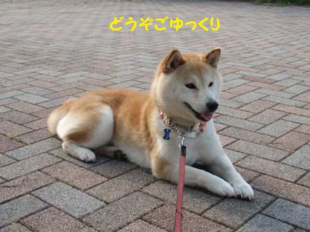 ごゆっくり
