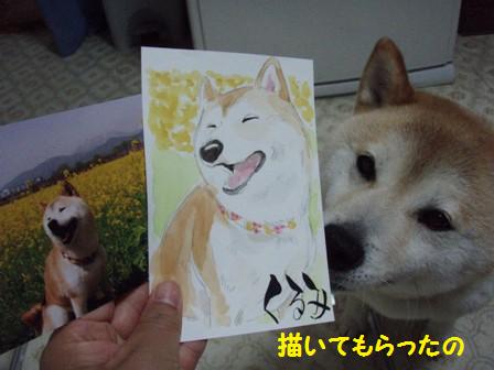 イラスト