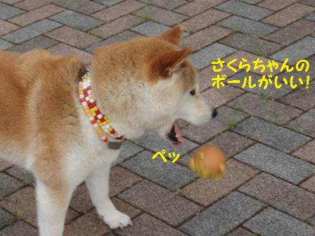 ペッ