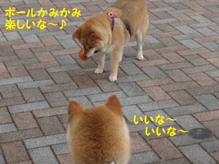いいな~