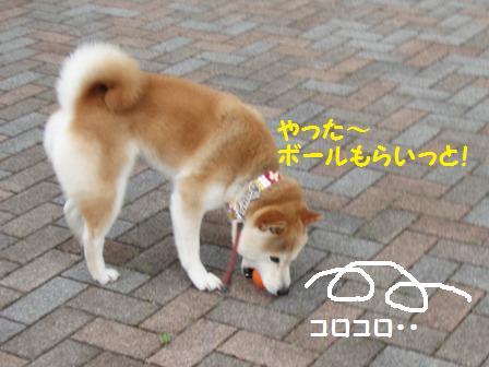 やった~