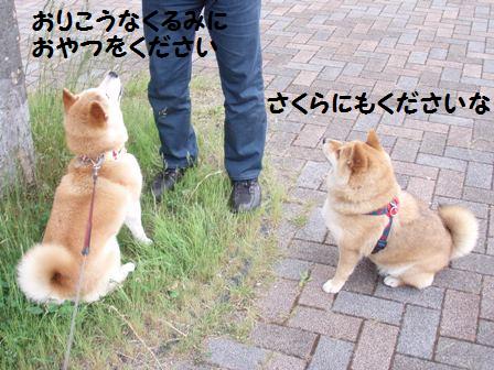 おやつください