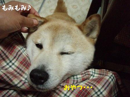お耳もみもみ