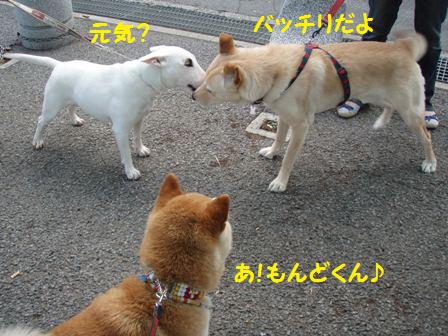 もんどくん