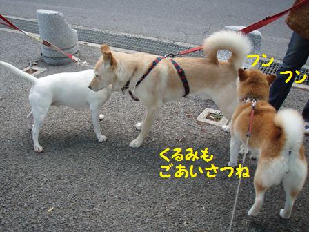 ごあいさつ