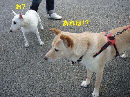 お?
